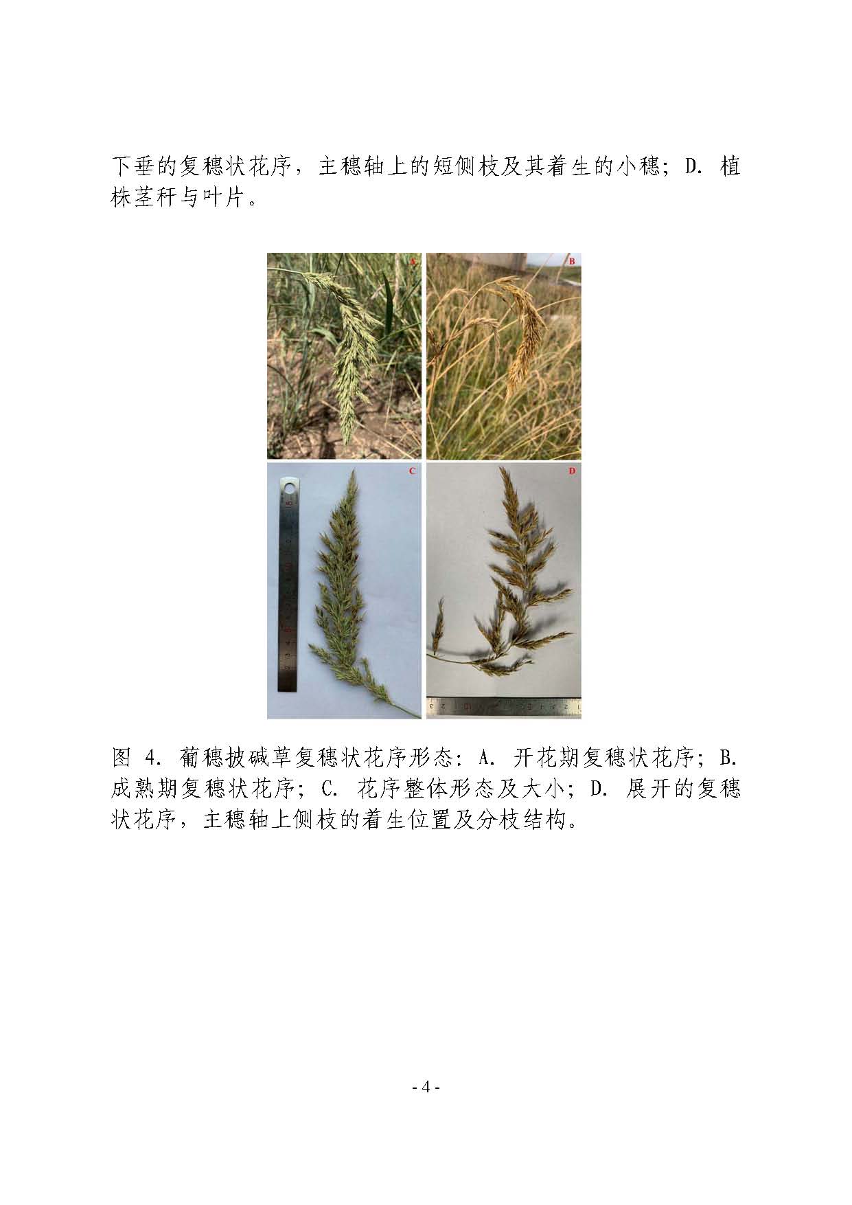 6a275d68d0ae4b429ec098b626003eb8.jpg